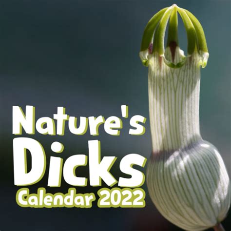 Nature S Dicks 2022 Calendar Cocks Shape Art Gag Joke 12 Month Square Monthly Calendar Funny