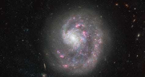 Hubble Telescope Image Of The Week Dwarf Galaxy Ngc 4625