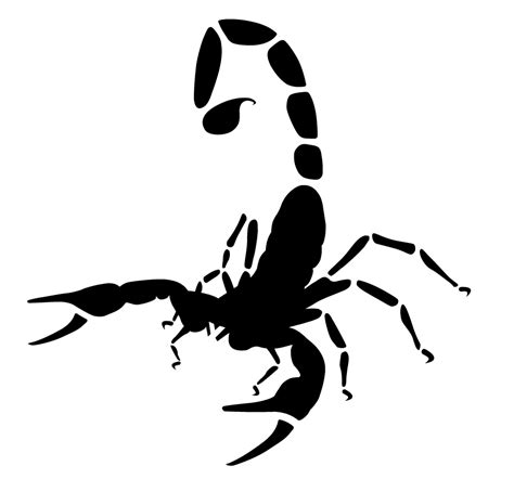 Scorpion Logo Silhouette Tattoos Tattoo Graphic Scorpion Tattoo