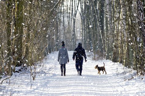 Winter Walks And Wildlife National Trust For Scotland