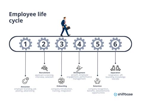 What Is Employee Life Cycle A Simple Guide For Employers Shiftbase