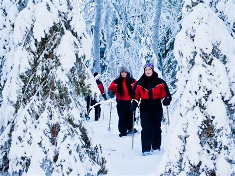 Naturetour By Snowshoes At Sealapland Taxari Travel Agency Lapland