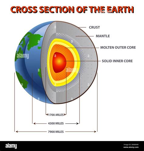 Cross Section Earth Hi Res Stock Photography And Images Alamy