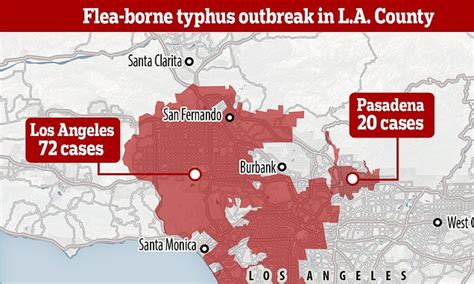 Flea Borne Typhus Cases Hit 100 In Los Angeles Daily Mail Online