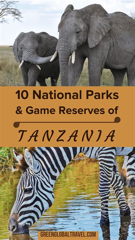 ℹ️ find www.xxnvideocodecs.com american express 2018 related websites on ipaddress.com. Top 10 Tanzania National Parks & Reserves (The Ultimate Tanzania Safari)