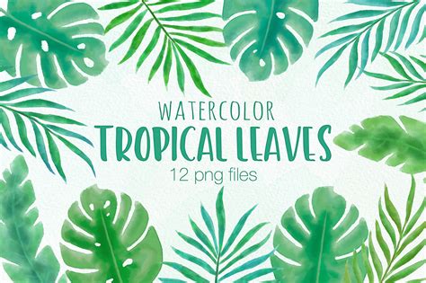 Tropical Leaf Watercolor Illustrations | Design Bundles