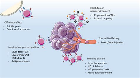 Chimeric Antigen Receptor Therapy How Are We Driving In Solid Tumors