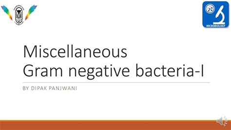 Misc Gram Negative Bacteria P 1 Dmp Youtube