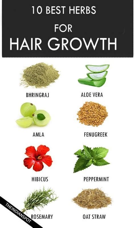 10 Best Herbs For Hair Growth Herbs For Hair Growth Hair Care Growth