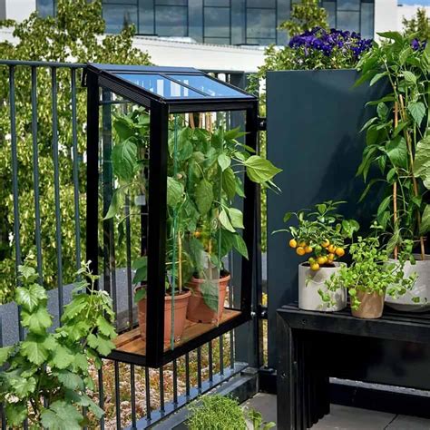 Urban Balcony Greenhouse By Juliana Berkshire Garden Buildings