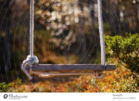 We did not find results for: Schaukel Garten Natur - ein lizenzfreies Stock Foto von ...