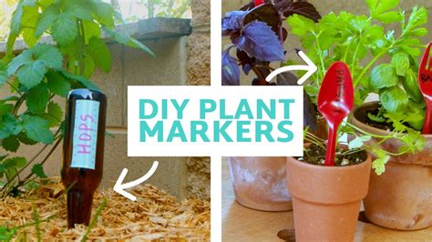 Make Diy Plant Markersfrom Your Trash Youtube