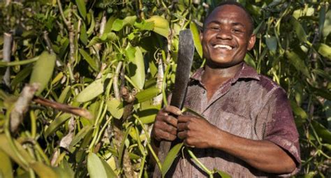 Eataly Supports Slow Food Vegetable Gardens In Africa Eataly