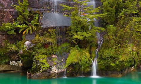 Chile Patagonia Waterfall Ferns River Shrubs Turquoise Moss Water
