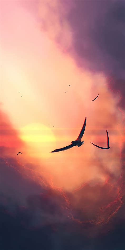 1080x2160 Birds Sunset Clouds 4k One Plus 5thonor 7xhonor View 10lg