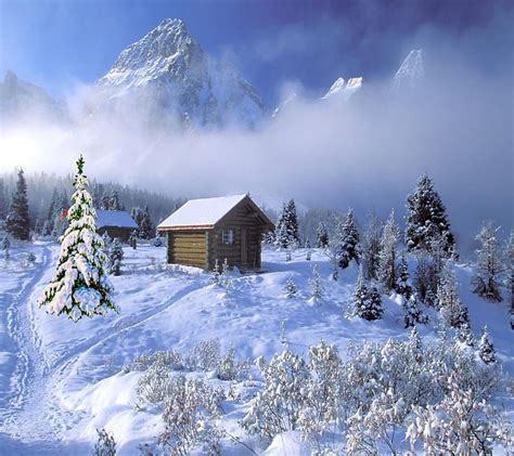 Winter Forest Snow Mountains Pine Trees Chalets Road Snowy Hd