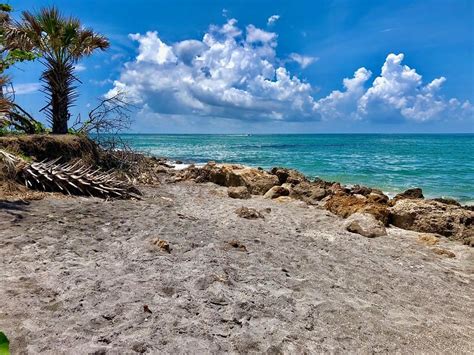 Best Shelling Beaches In Florida Tripelle