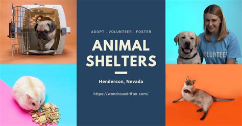 13 Animal Shelters In Henderson Nv
