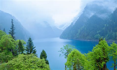 Jiuzhaigou Lake And Forest Trees Sichuan China Summer 2017 Located In
