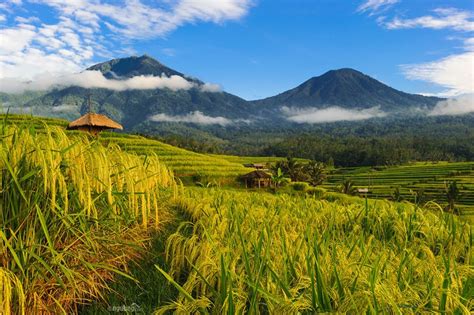 Sub photoman description coming soon be sure to check out my prior Lets Join with English Bali Cab Driver to Explorer ...