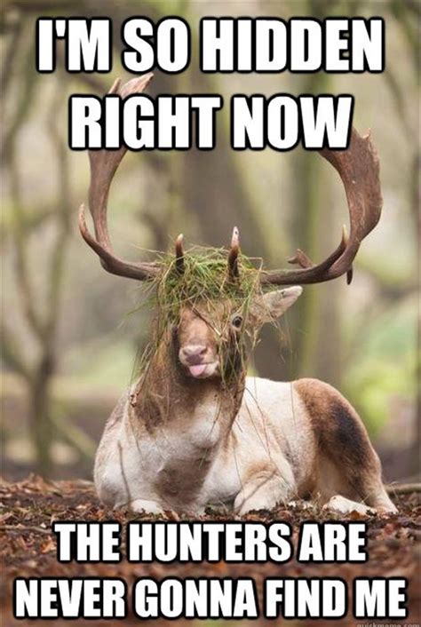 Funny Quotes About Deer Season Quotesgram