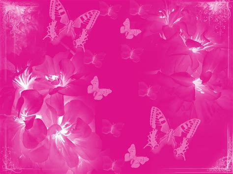 43 Pink Butterfly Wallpaper Wallpapersafari