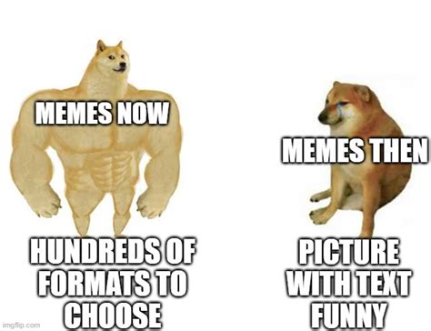 Buff Doge Vs Cheems Meme Imgflip