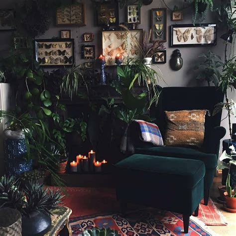 Inside Plants For Dark Rooms F