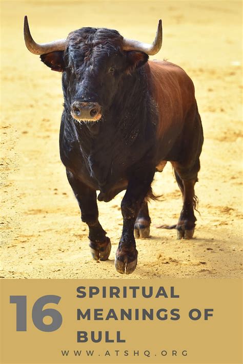 Bull Symbolism 16 Spiritual Meanings Of Bull