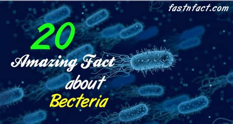 20 Amazing Facts About Bacteria