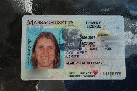 Ironies Of Life The Us Drivers License Roaming About