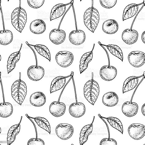 Hand Drawn Cherry Seamless Pattern Vector Illustration In Sketch Style