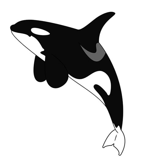 Whale Cartoon Clipart Orca Tattoo Orca Art Orca Whale Tattoo