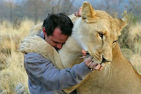 Watch The Lion Whisperer Hugging Big Cats On World Lion Day Good News