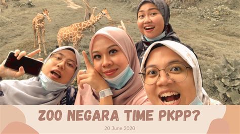 Inr 270 to children up to 12 years of age, and rm 21, i.e. Zoo Negara during PKPP?? - YouTube