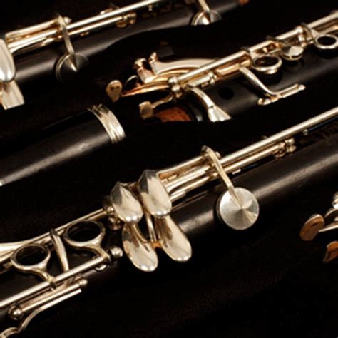 woodwind.eth Ethereum Name Service (ENS and .eth domain) PFP