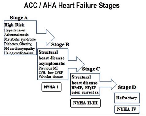 Nyha Class And Accaha Stages Of Heart Failure