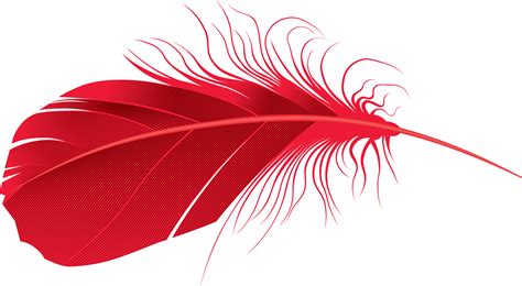 Feather Png Transparent Image Download Size 1635x899px