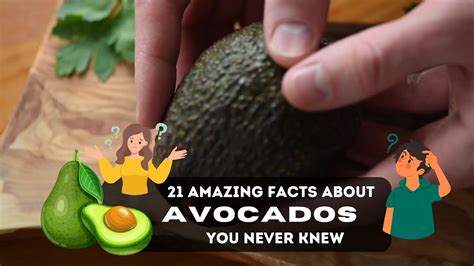 21 Amazing Facts About Avocados You Never Knew Youtube