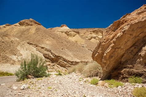 Desert Landscape Dry Wasteland Scenic View Of Wilderness Passage