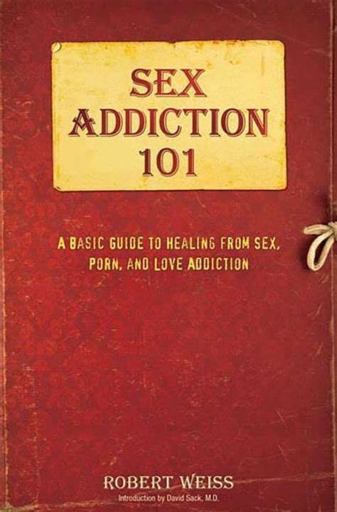 Sex Addiction 101 A Basic Guide To Healing Ing 0757318436 1495
