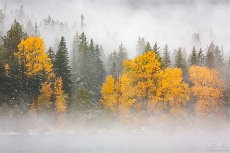 Autumn In The Mist Lake Wenatchee State Park Washington Kris