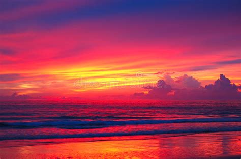 Sunset Over Ocean Stock Photo Image Of Tree Ocean Scenic 5819366