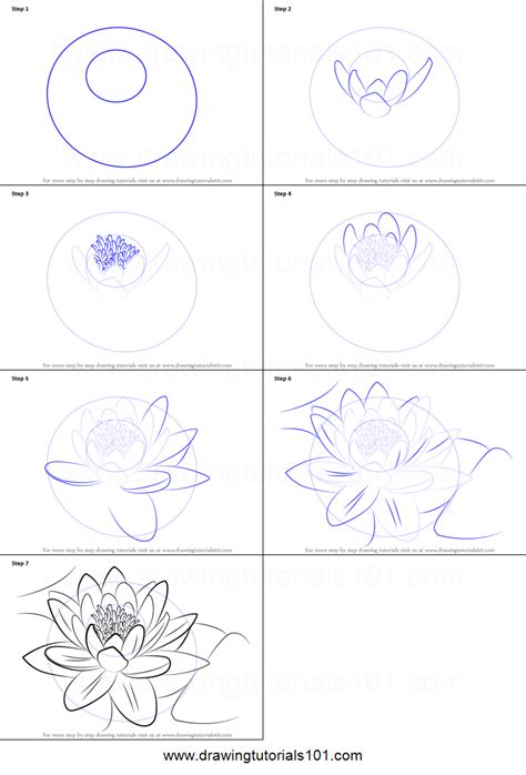 How To Draw A Water Lily Printable Step By Step Drawing Sheet