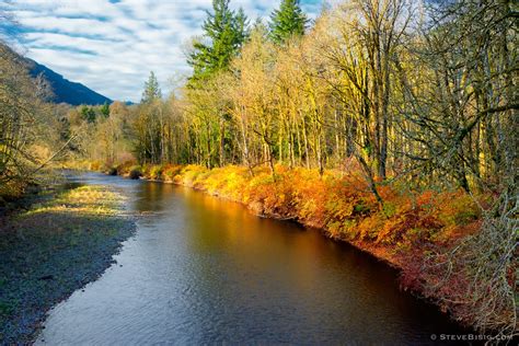 Late Autumn Colors Tilton River Lewis County Washington 2013