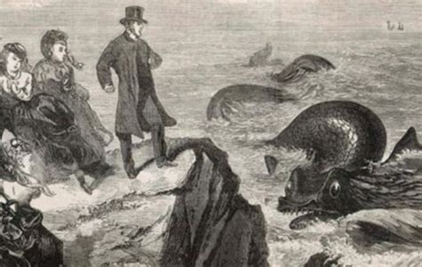 Daily History Picture Scottish Sea Serpent Beachcombings Bizarre