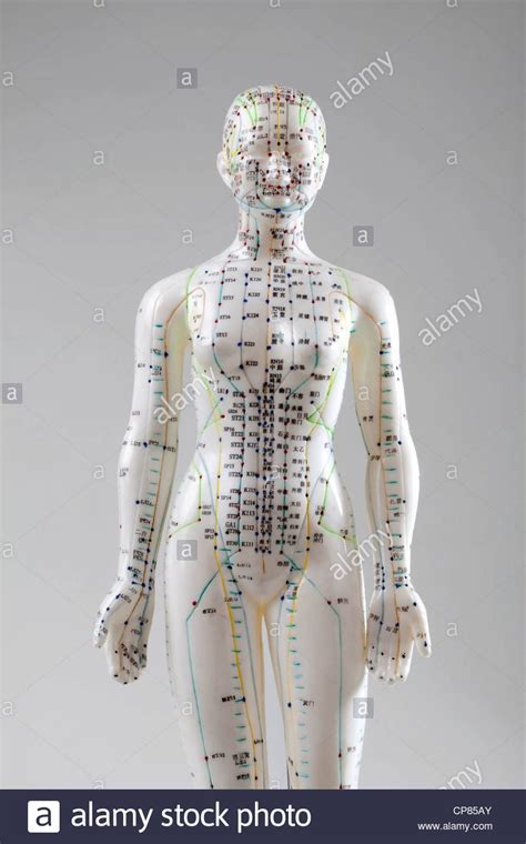a female model with marked acupuncture points chinese characters on the meridians traditional