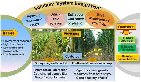 What Is Genetic Modificationgm Of Crops Read With Pritish