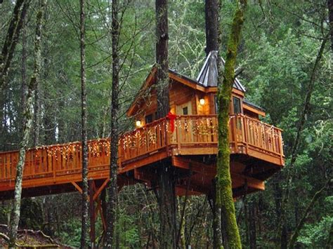 Check spelling or type a new query. Treehouses to Rent for Vacation | 18 Photos of the Tree ...