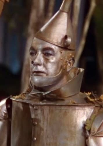 the tin man fan casting for the wizard of oz mycast fan casting your favorite stories